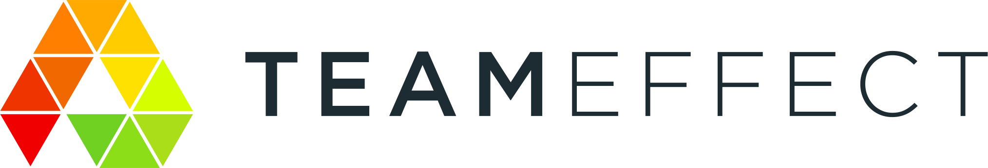 TeamEffect
